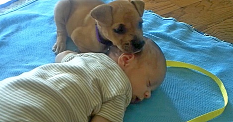 Baby und kleiner Hund sind sehr müde!
