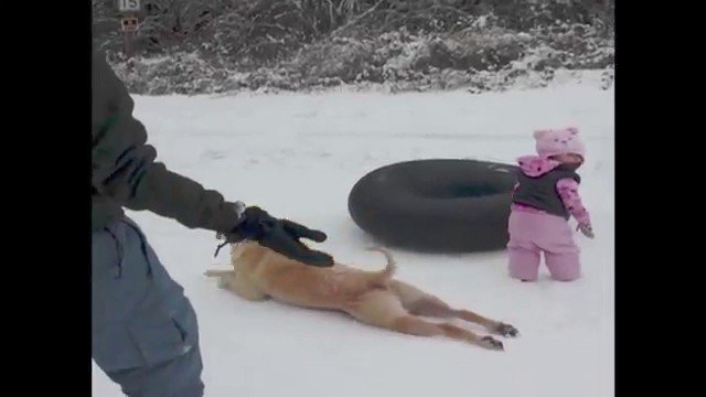 Hund rutscht im Schnee herum