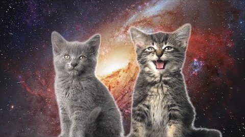 Read more about the article Space Cats — Magic Fly