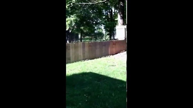 ein neuer Zaun für den Hund